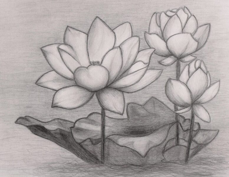 Vẽ tranh hoa sen 3D tại Spa Lạc Trung Hà Nội  TT169LHAR  LEHAIS ART